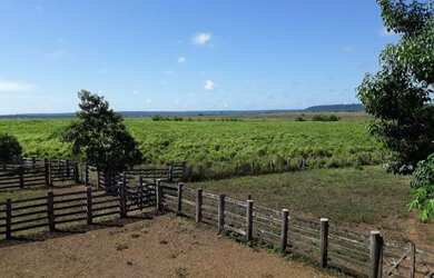 Imagem 9: 2.647 alqueires ,2.033 alqueires abertos Estado do Pará R$235 milhões...