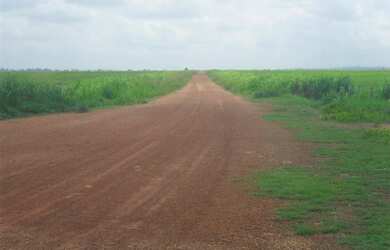 Imagem 15: 2.647 alqueires ,2.033 alqueires abertos Estado do Pará R$235 milhões...