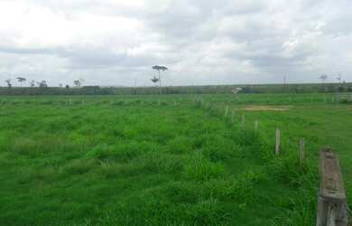 Imagem 8: 2.647 alqueires ,2.033 alqueires abertos Estado do Pará R$235 milhões...