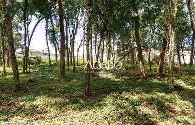 Imagem 4: Terreno à venda, 1993 m² por R$ 3.150.000,00 - Campo Comprido - Curitiba/PR