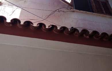 Imagem 11: Alugar se casa na piedade abolição av dom helder camara