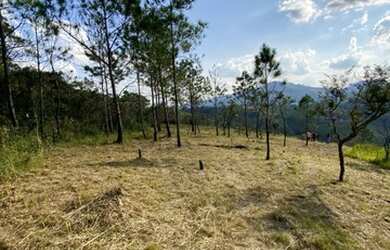 Imagem 1: Saiba como investir