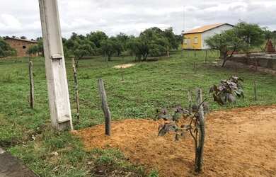 Imagem 5: Vendo lote 9x17. 153m² de Área