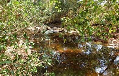 Imagem: A fazenda possui 1.485m² de Área e está localizado em Nossa