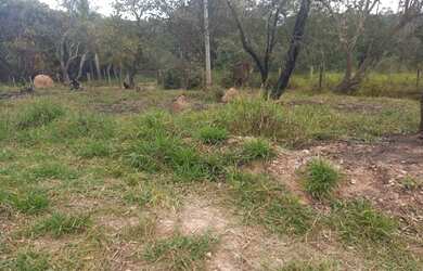 Imagem 2: Terreno à venda, 1197 m² por R$ 398.000,00 - Loteamento Pinheirinho...