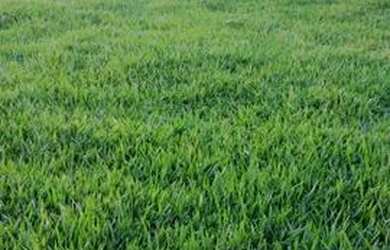 Imagem 2: casa em saquarema com piscina