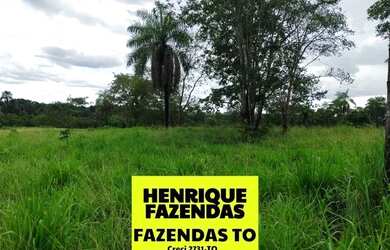 Imagem 15: Fazenda de oportunidade em Divinopolis 25 alq por 1,5 milhões