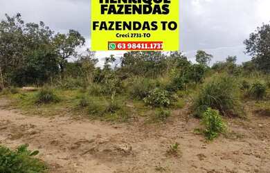 Imagem 7: Fazenda de oportunidade em Divinopolis 25 alq por 1,5 milhões