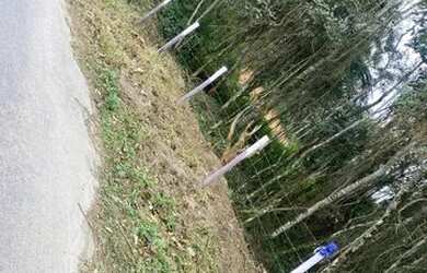 Imagem: O terreno possui 1000m² de Área e está localizado em Canjicas