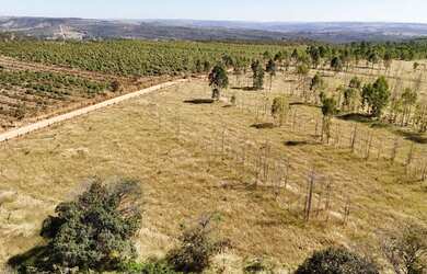 Imagem: A fazenda possui 40m² de Área e está localizado em Abadiânia
