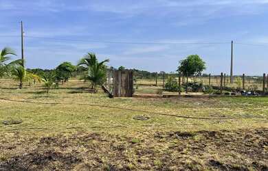 Imagem 5: VENDE-SE SÍTIO EM AMAJARI - OPORTUNIDADE IMPERDÍVEL