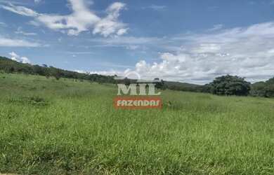 Imagem: A fazenda possui 500m² de Área e está localizado em Centro