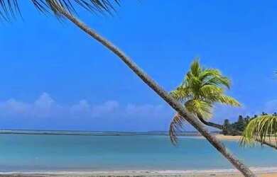 Imagem 3: Barra Grande/ Ilha Vera Cruz Aluguel temporada Casa condomínio Fechado,...