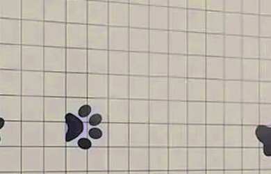 Imagem 10: Apartamento à venda no SALVADOR VERÍSSIMO - JATIÚCA, MACEIÓ - AL ,...