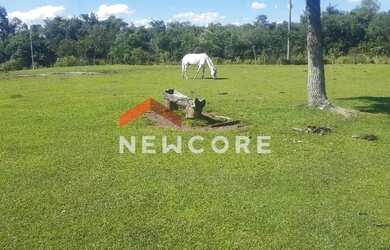 Imagem: Chácara em Criúva (caxias do Sul) - Criúva - Criúva/RS