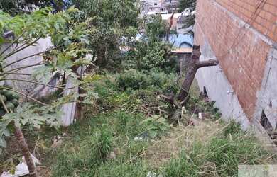 Imagem 8: Vila das Belezas Jardim Casa Branca TEERENO 10 POR 25 ótimo local