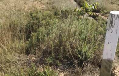 Imagem 13: Lote em condomínio