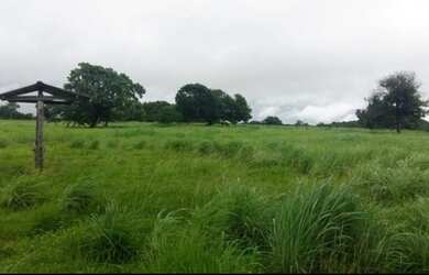 Imagem 13: Fazenda 20alq Itapirapuã