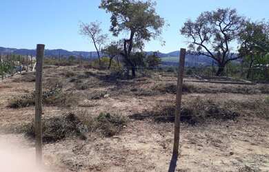 Imagem 1: Vendo lote 360 metros. 360m² de Área