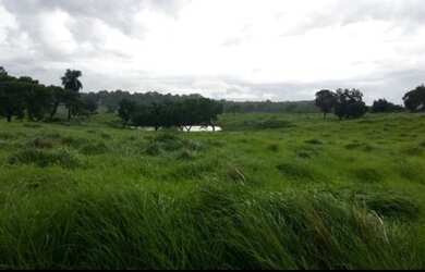 Imagem 3: Fazenda 20alq Itapirapuã