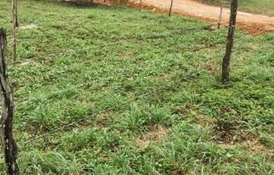 Imagem 3: Vendo lote 9x17. 153m² de Área