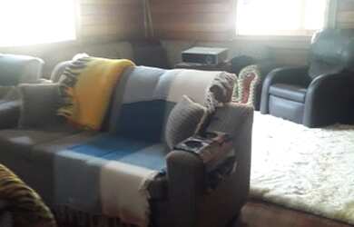 Imagem: Fazenda/Sítio/Chácara para venda possui 2695 metros quadrados