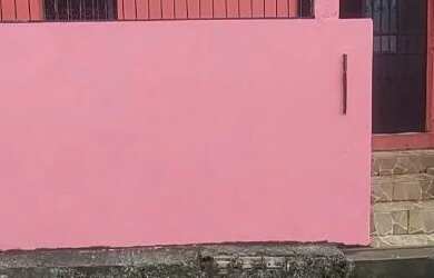 Imagem 11: Aluguel de casa Mauazinho