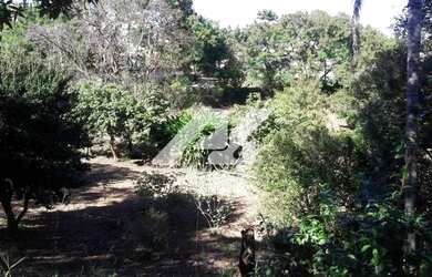 Imagem: O terreno possui 24.200m² de Área e está localizado em Chácara