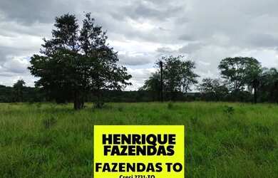Imagem 14: Fazenda de oportunidade em Divinopolis 25 alq por 1,5 milhões