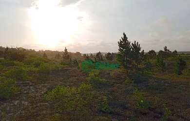 Imagem 11: Sítio à venda, 70000 m² por R$ 659.000 - Lagoa Country Club - Cidreira/RS