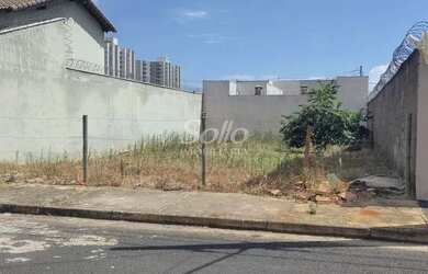 Imagem 3: Venda Terreno SANTA MÔNICA