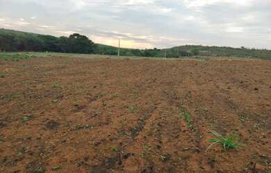 Imagem 4: VENDA/TROCA TERRENO COM 4 HECTARES, BEIRA RIO