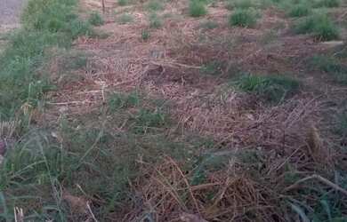 Imagem 2: Terreno. 500m² de Área