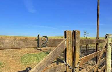 Imagem: A chácara possui 21899m² de Área e está localizado em Jardim