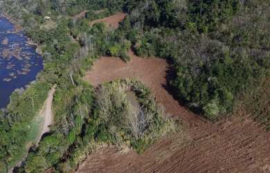 Imagem 8: Chácara com 3 Dormitorio s localizado a no bairro Santa Lúcia do Piaí...