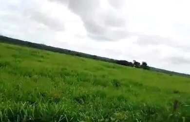 Imagem 3: Excelente fazenda dupla aptidão com 969 hectares à venda em Arinos -...