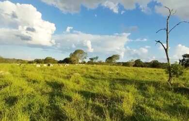 Imagem 2: A M IMOVEIS VENDE EXELENTE FAZENDA COM 180HECTARES EM PARACATU MG