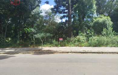 Imagem 11: Terreno à venda em Canela