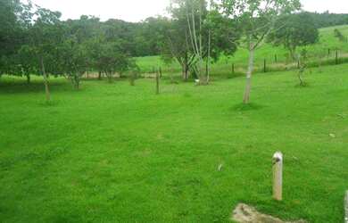 Imagem: A fazenda possui 250000-0m² de Área e está localizado em