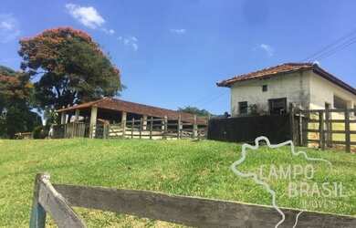 Imagem 5: Campo Brasil Imóveis, realizando seu sonho rural Fazenda de 150aq no...
