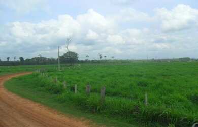 Imagem 14: 2.647 alqueires ,2.033 alqueires abertos Estado do Pará R$235 milhões...