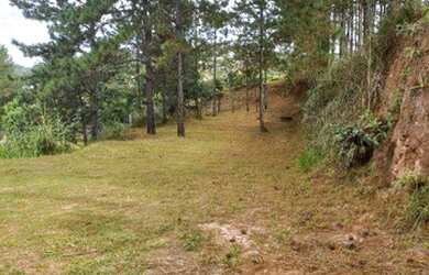 Imagem 7: Área à venda, 48000 m² por R$ 12.000.000,00 - Rosário - Atibaia/SP