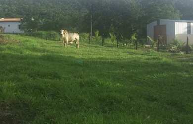 Imagem 6: Fazenda na Agrovila das Palmeiras 630 Hectares