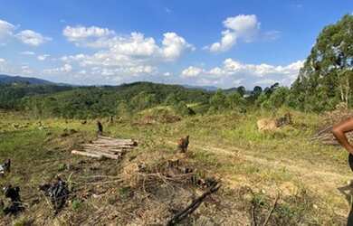 Imagem 6: Saiba como investir