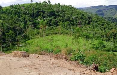 Imagem 3: Lotes a partir de 1000m² com uma vista incrível Agende uma visita pelo...