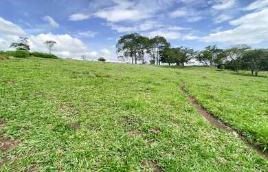 Imagem: A fazenda está localizado em Leopoldo de Bulhões, GO à venda