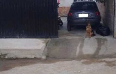 Imagem: A casa possui 2 Dormitórios e está localizado em Campo Grande