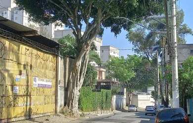 Imagem 6: Passo Ponto Pet Shop. 62m² de Áreae1 Vaga na garagem