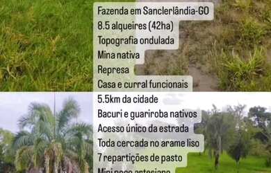 Imagem 1: Fazenda a venda no município de Sanclerlândia GO