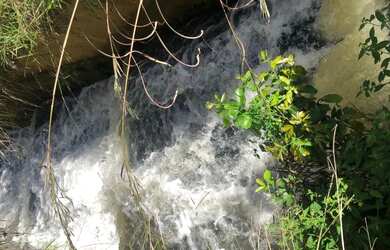Imagem 6: R$150 Milhões Fazenda de 405 alqueires em Campo Alegre-GO
